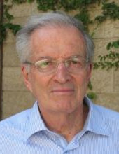 ישראל לוין